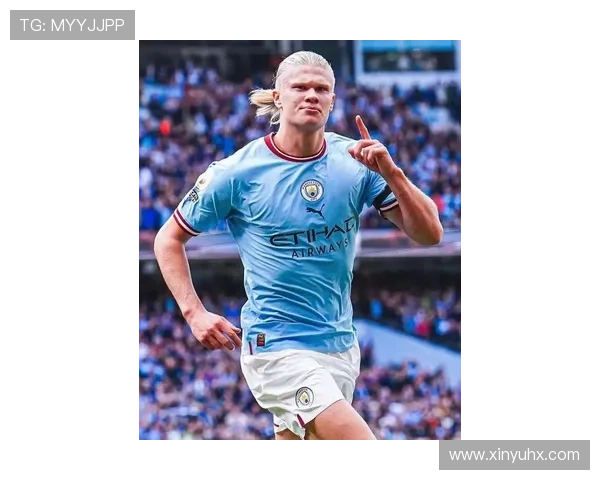 埃尔林·哈兰德 埃尔林·哈兰德